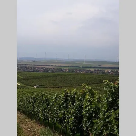 Wohlfuehlen Im Rheinhessischen Backsteinhaus * Armsheim