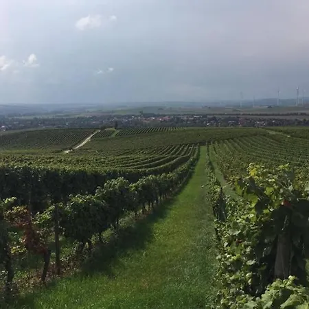 아파트 Wohlfuehlen Im Rheinhessischen Backsteinhaus