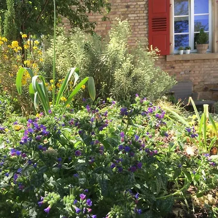 Wohlfuehlen Im Rheinhessischen Backsteinhaus