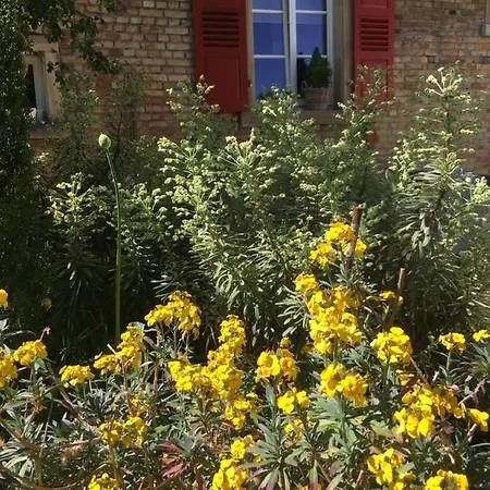 Wohlfuehlen Im Rheinhessischen Backsteinhaus 아파트 *