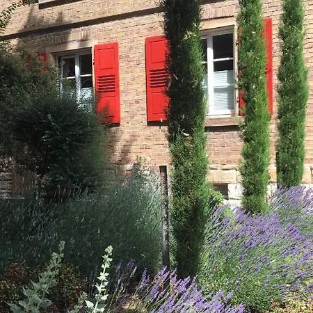 Wohlfuehlen Im Rheinhessischen Backsteinhaus * Armsheim