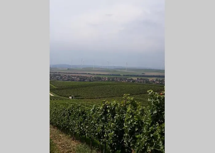 Wohlfuehlen Im Rheinhessischen Backsteinhaus * Armsheim
