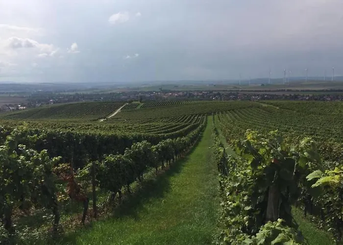 Apartmán Wohlfuehlen Im Rheinhessischen Backsteinhaus