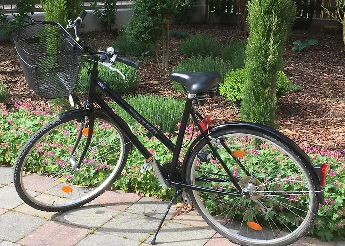 Apartmán Wohlfuehlen Im Rheinhessischen Backsteinhaus Armsheim