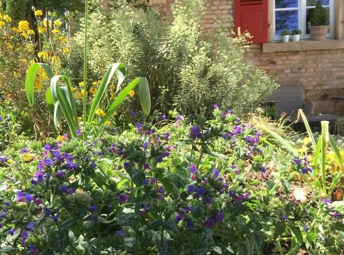 Wohlfuehlen Im Rheinhessischen Backsteinhaus