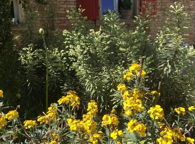 Wohlfuehlen Im Rheinhessischen Backsteinhaus Apartmán *